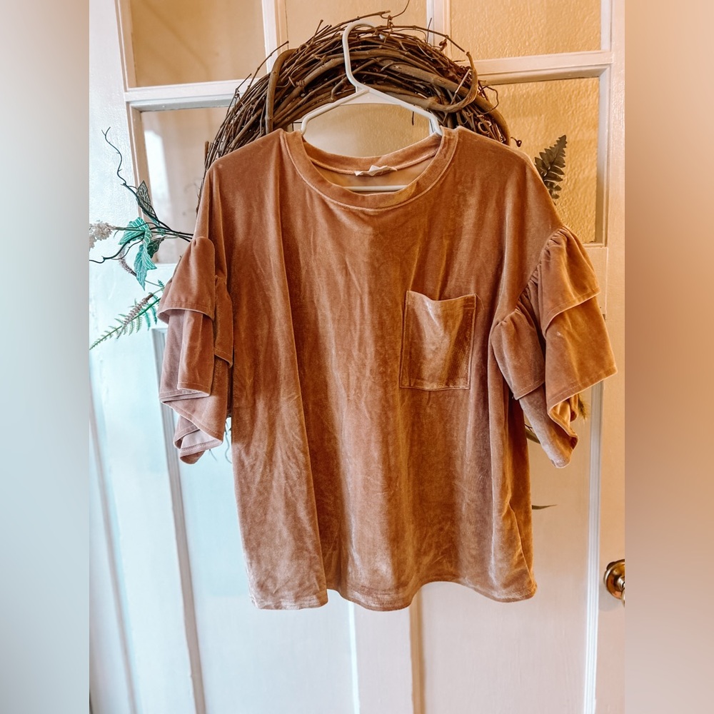 Blush pink velvet top. Size L. Purchased at a boutique, brand is Love Riche.